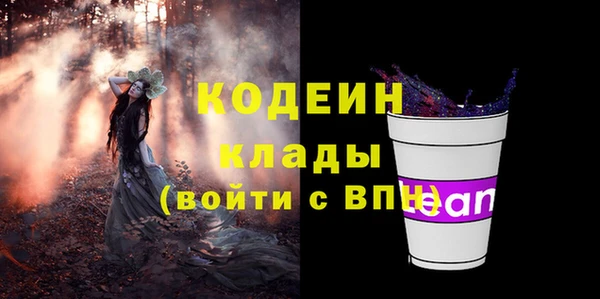 шишки Новодвинск