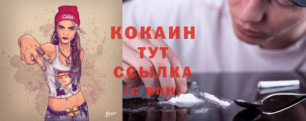 шишки Новодвинск
