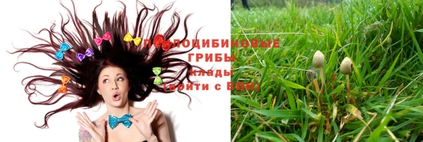 шишки Новодвинск