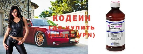 шишки Новодвинск