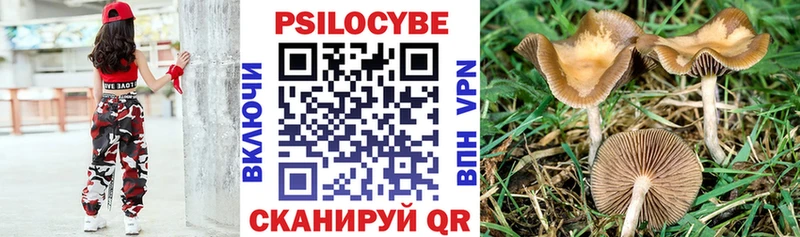 Галлюциногенные грибы GOLDEN TEACHER Суздаль