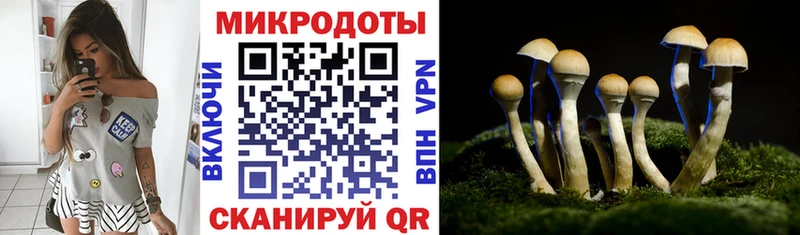 Псилоцибиновые грибы MAGIC MUSHROOMS  Суздаль 